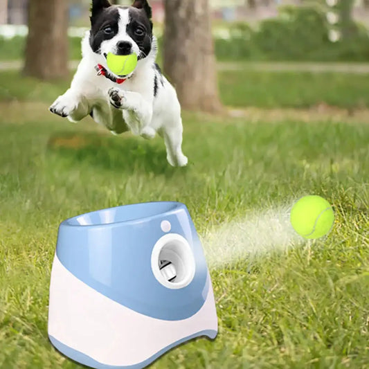 Automatischer Tennisball-Werfer - Furiosa Pets
